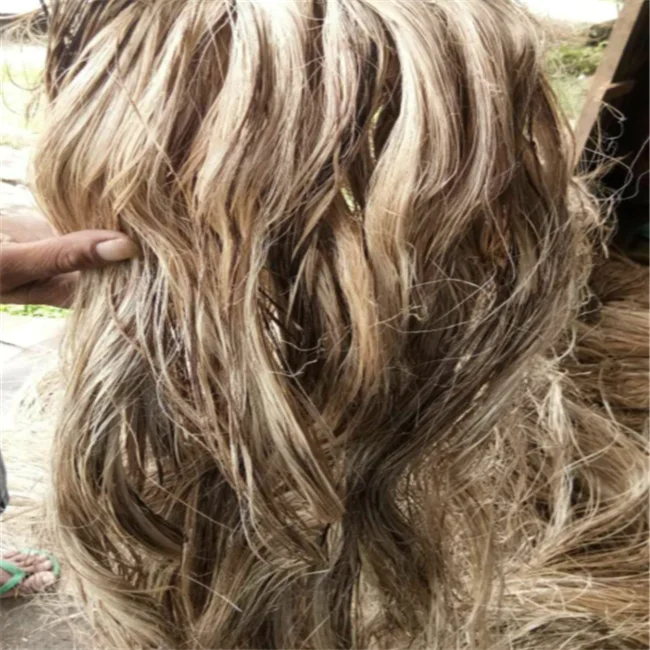 S3 abaca fiber hemp fiber usage matress philippine fiber product  abaca paper pulp production material