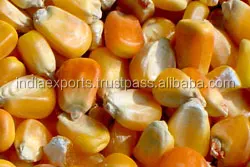 
Yellow Maize Premium Quality For Animal Feed 