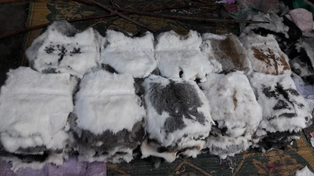 100 % Genuine Rabbit Fur Rabbit Skin Rabbit Pelt  For Sale