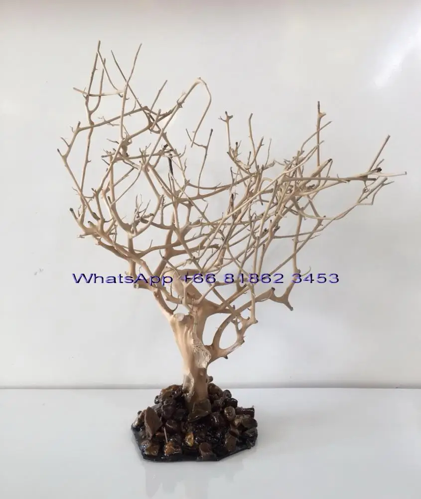 Aquarium Bonsai Driftwood