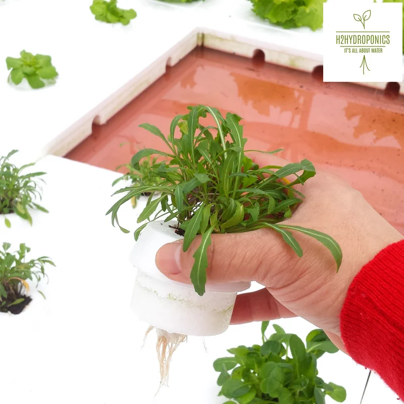 Hybrid hydroponics for vertical garden, farming and aquaponics