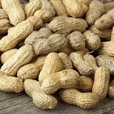 
Groundnut 