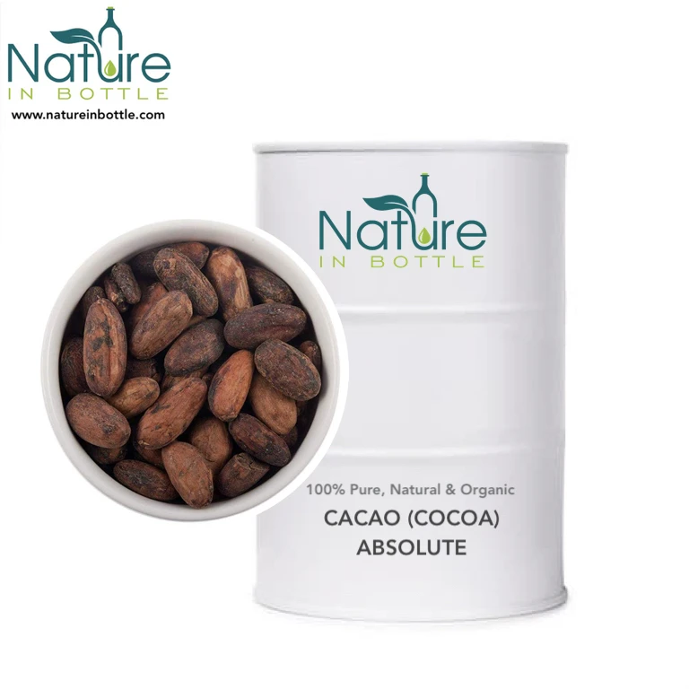 Cacao Bean Absolute | Cocoa Bean Absolute | Chocolate Absolute Oil - Pure Absolute Essential Oils - Wholesale Bulk Price