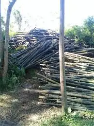 Bamboo pole for building, bamboo poles best quality (Whatsapp: 84 845639639 -  Ms Holiday )