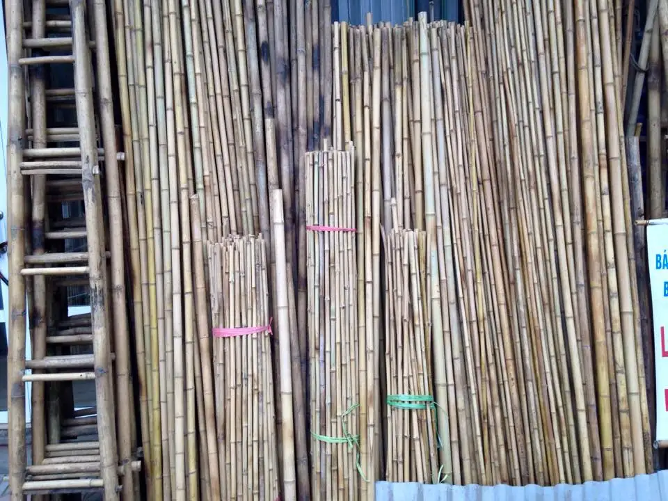 Bamboo PRODUCT BAMBOO IN VIET NAM ECO FRIENDLY BAMBOO
