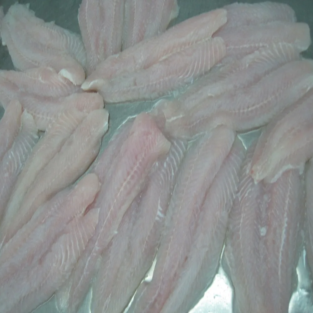 
PANGASIUS FISH - BEST QUALITY 