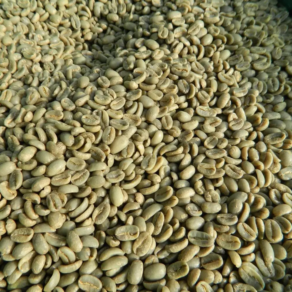 Кофейные Зеленые зерна 100% Robusta S13/S16/S18 0084974565715