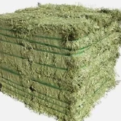 Premium Quality Of Top Sale Alfalfa Hay Timothy Hay Suitable For Animal Feed Grain  With 7% Of Moisture
