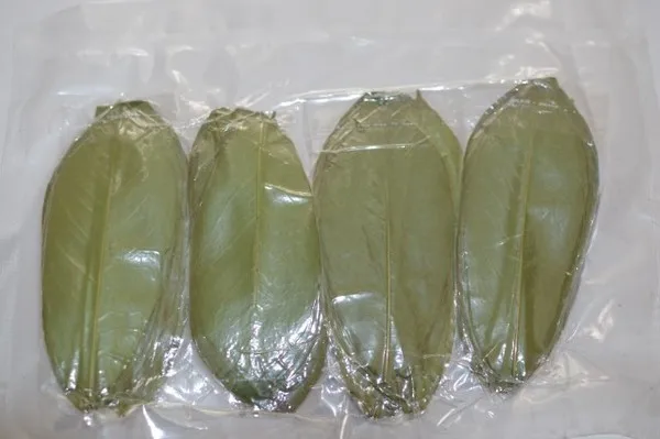 
Dried Soursop Leaves / Graviola Leaf - Organic Herb - Product of Vietnam 