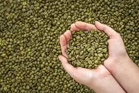 Coffee Beans with high quality (whatsapp (+84).983590908/mobi