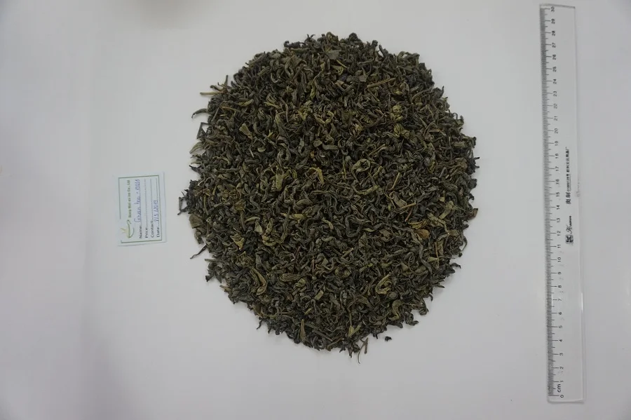 
High Quality Green Tea - Spring Tea - GT 01 