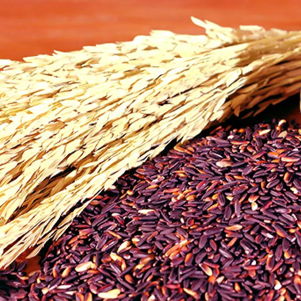 HIGH QUALITY RICEBERRY BLACK NUTRITION RICE
