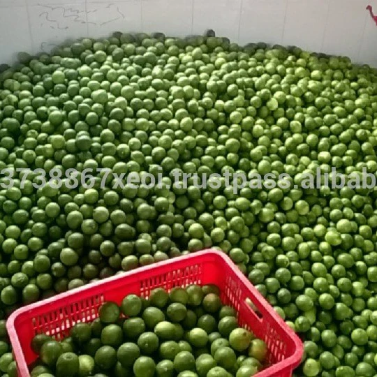 Свежий лимон/свежий лайм 2021