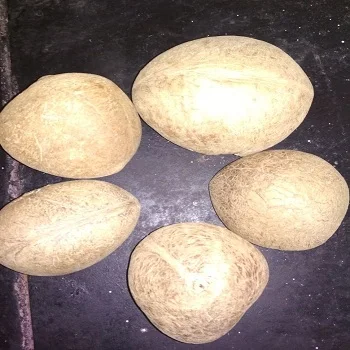 Кокосовый шар Copra из Индии