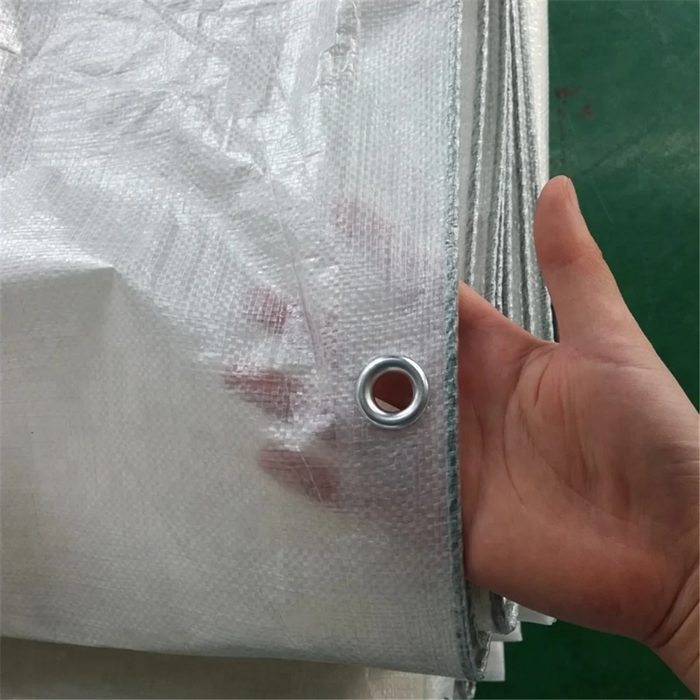 140gsm Transparent PE Tarpaulin Reinforced Plastic Cherry Cover Against Rain or Hail