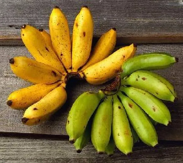 Bananas ||