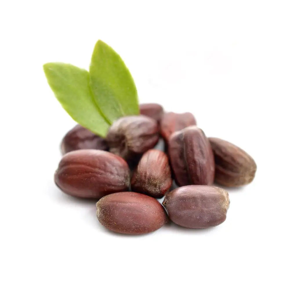 GMP & ISO Approved Jojoba Oil - Bulk Jojoba oil Suppliers,100% pure Jojoba oil, CAS 61789-91-1