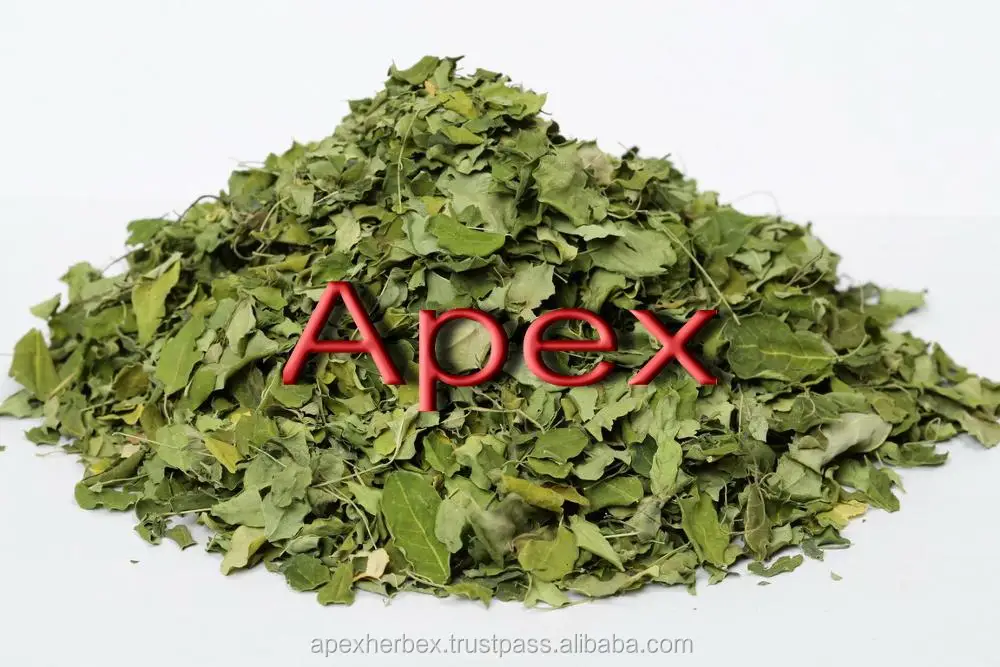 Moringa Oleifera Leaves Dried Moringa Leaf Powder TBC T CUT