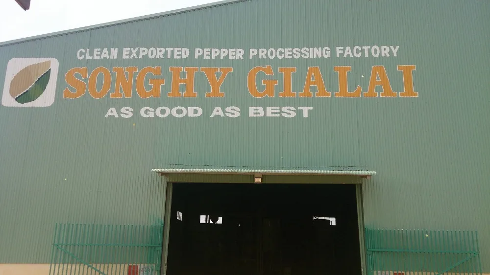 CLEAN PEPPER Manufacturer in Vietnam - Song Hy Gia Lai Co., Ltd