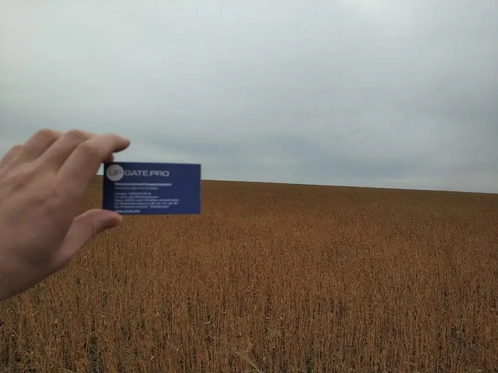 Soya beans