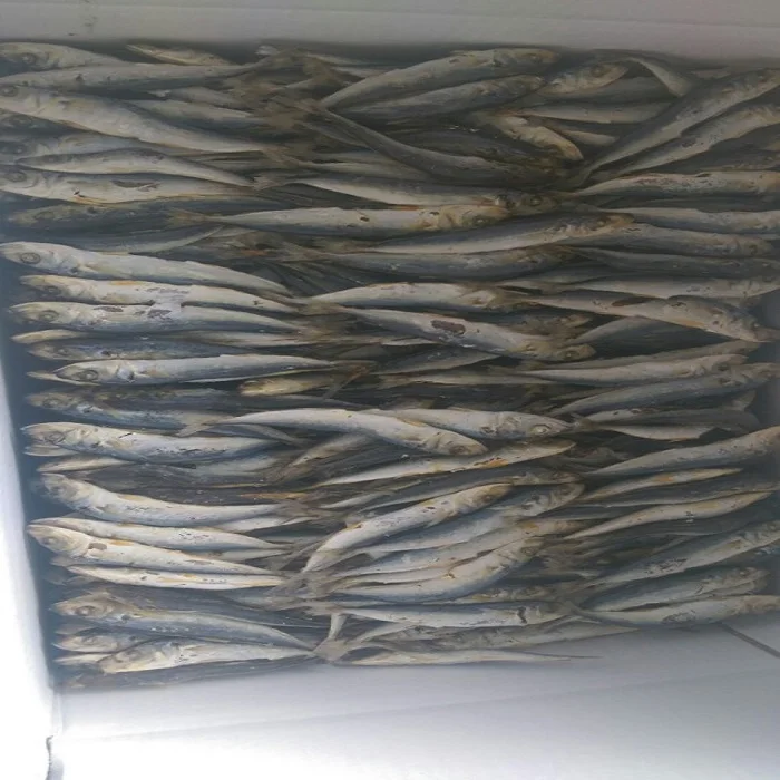 
Dried Round Scad Fish BODY BRC Piece Vacuum Pack Southern Puffer 