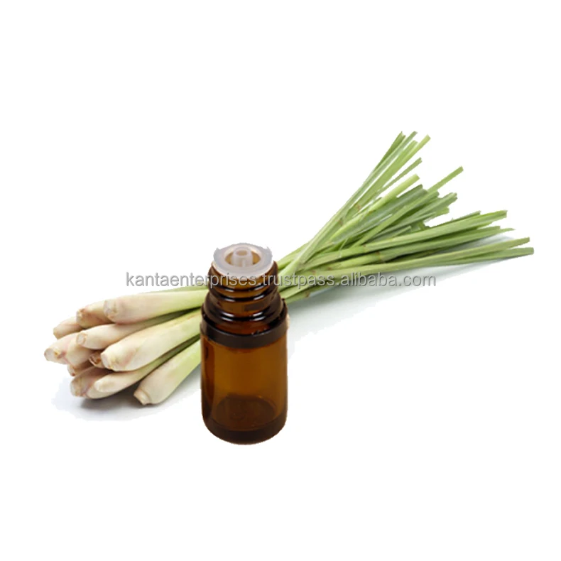 Buy Online Gingergrass Essential Oil / Ginger oil nurtures the skin for Sale Available at Cheap rates