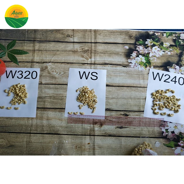 BEST SELLER IN SEASON - COMPETITIVE PRICE RAW CASHEW NUTS