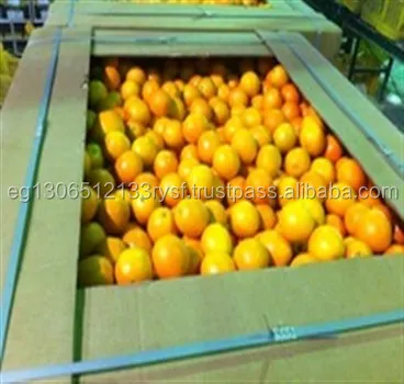 Надежный оранжевый пупок высшего класса, 2022 свежий оранжевый желтый оранжевый пупок. Valencia. Baladi 1 контейнер 16 кг Египет