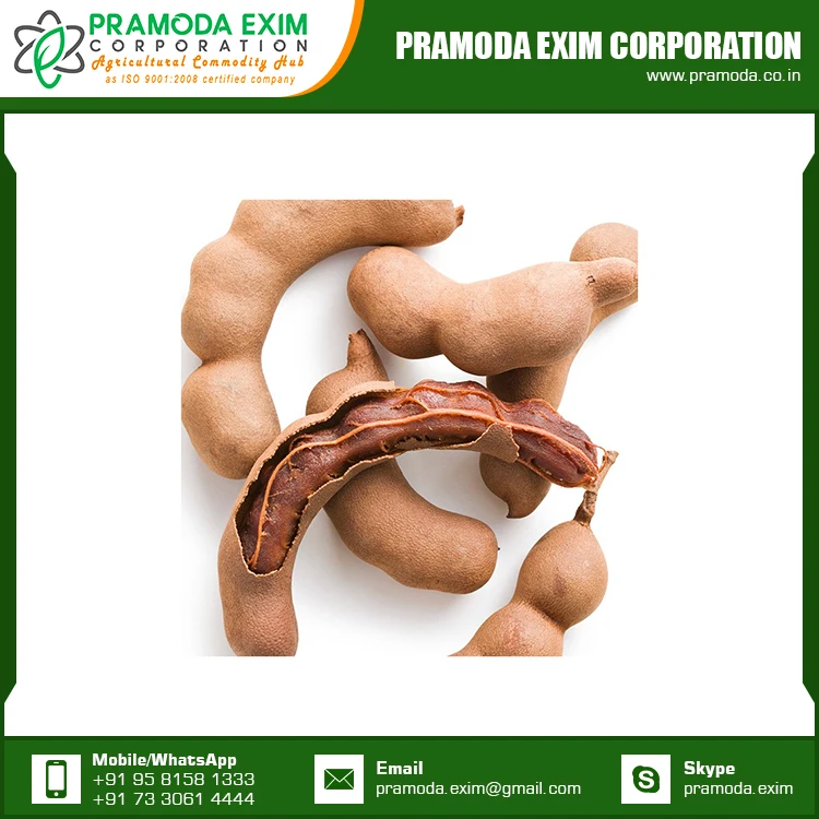 New Crop Organic Tamarind Fresh