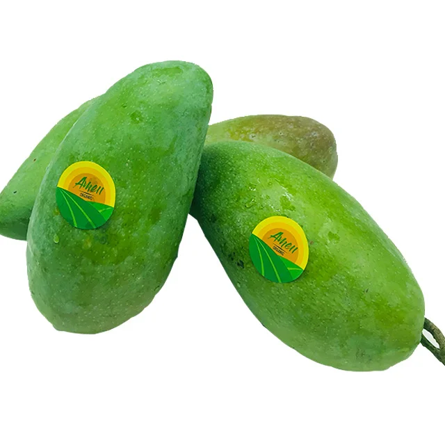 HIGH QUALITY DAI LOAN MANGO FOR EATING