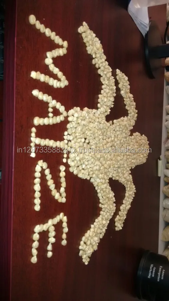 Индийская белая кукуруза