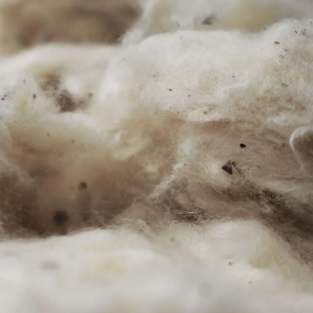 
Cost Competitive for Open End spinning Raw White Low Grade Raw Cotton 