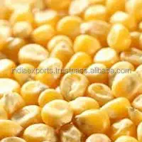 Best Yellow Maize Animal Feed 2021