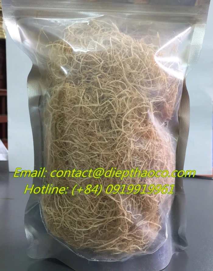 Gracilaria seaweed white color use food human lowest moisture of diep thao company