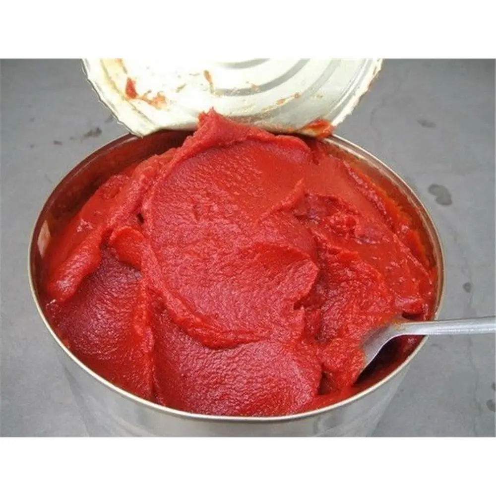 Canned Tomato Paste/pure tomatoes/ready to cook/origanal in taste