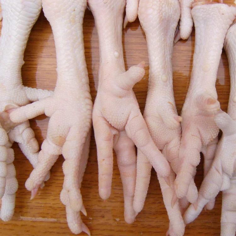 Halal Grade Chicken Feet / Chicken Wings with 40% Discount for Bulk Buyers