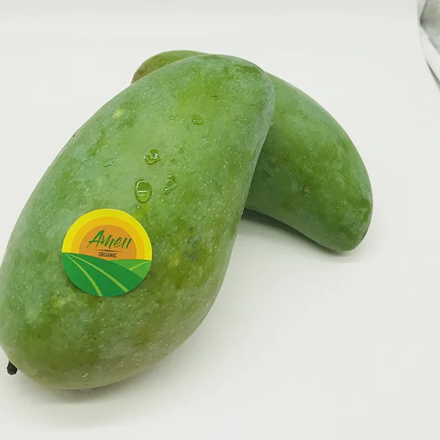 HIGH QUALITY DAI LOAN MANGO FOR EATING