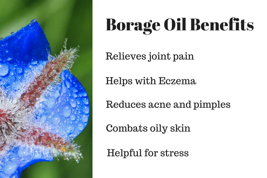 Borage Carrier Oil Bulk Export From China at Best Price 100% Pure And Natural Organic Carrier and Base Oil Supply