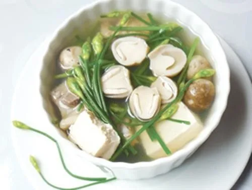 MUSHROOM IN CAN AND DRUM BEST PRICE