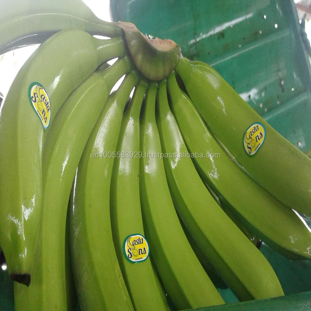 
BANANAS CAVENDISH 