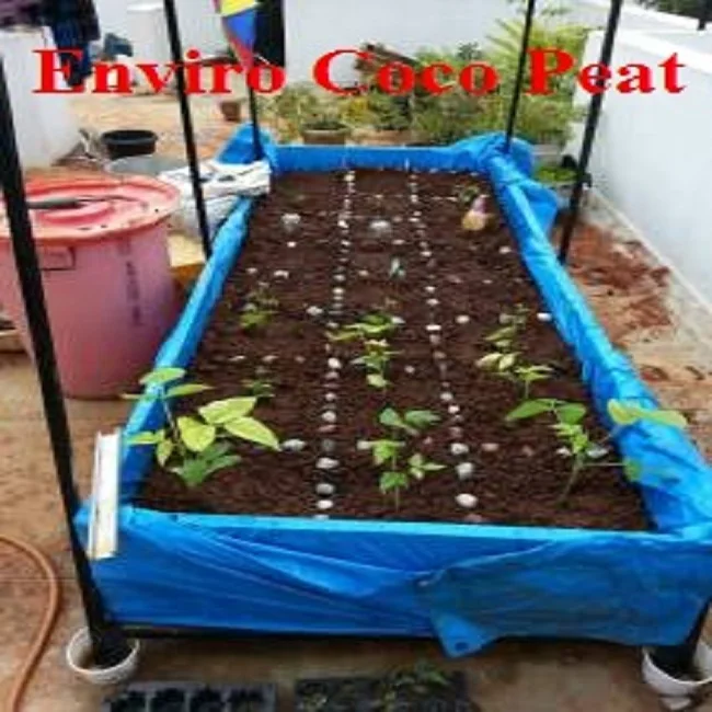 Lowest Price Coconut Coir Pith / Coco Peat for sale Made in India