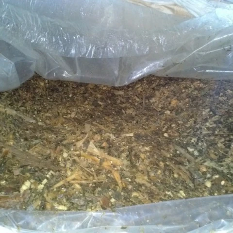 
Vietnam Pineapple Silage- Pineapple Silage For Cattle Feed- Pineapple Waste Silage WHATSAPP +0084 845639639 