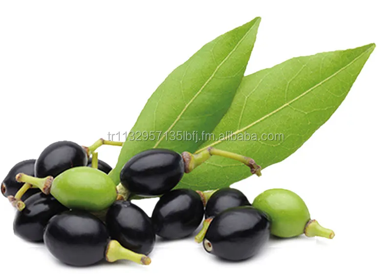 100% Pure Bay Leaf Essential Oil - A Natural Remedy for a Variety of Health Conditions - The Culinary Oil for Flavor and Health