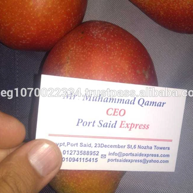 fresh mango fruit ready to export to Russia