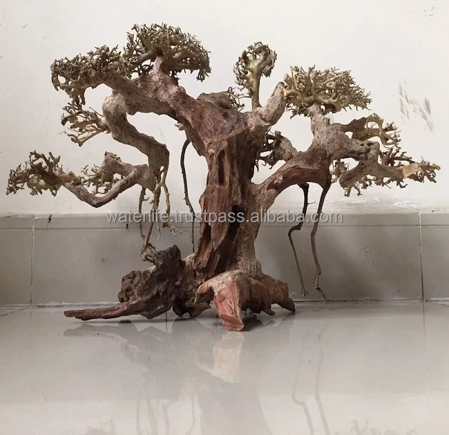 
Natural Bonsai Driftwood 