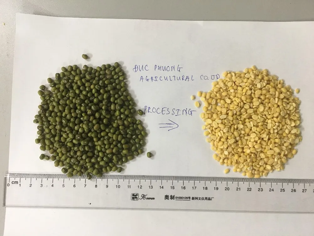 
VIETNAM GREEN MUNG BEAN 2019 