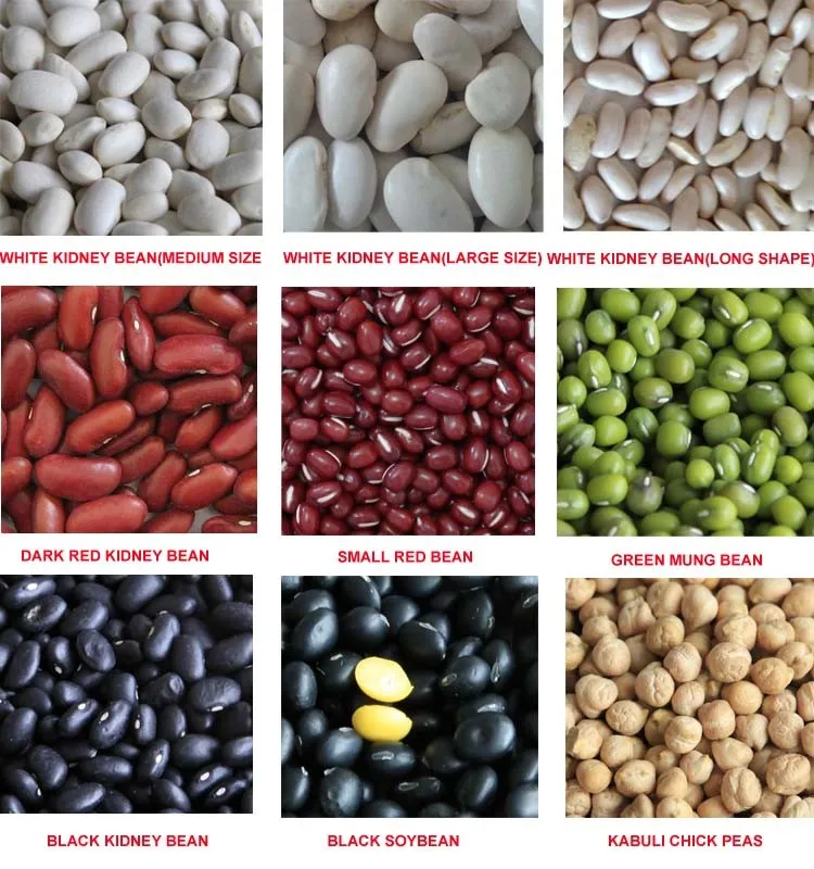 
White Beans / White Kidney Beans 