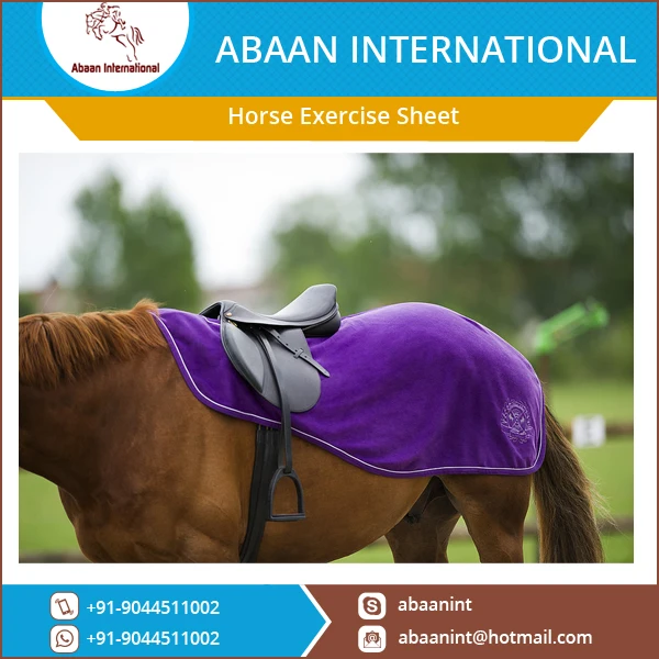 Best Selling Horse Exercise Sheet at Reasonable Rate
