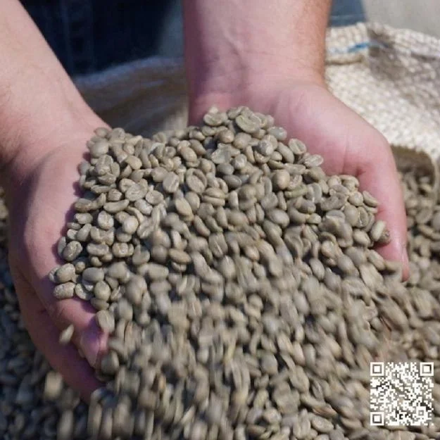 
SUPREMO 18 COLOMBIAN COFFEE BEANS 