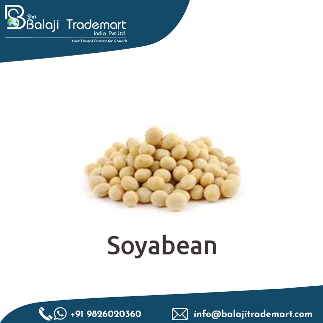 Excellent Quality Pure Natural Soybean Seed for Animal Feed at Low Price in Bulk